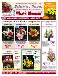 We did not find results for: What S Bloomin At Schroeder S Flowers In September Green Bay News Network