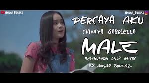 Download Chintya Gabriella Percaya Aku Acoustic Karaoke Mp3 Mp4 3gp Flv Download Lagu Mp3 Gratis