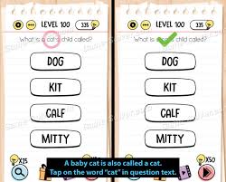 Ingin kunci jawaban dari game brain test? Brain Test Level 100 Answers Game Solver