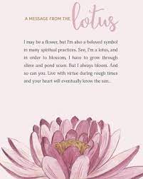Which flowers represent love, hope, healing, loss, and good luck? Teal Lotus Flower Meaning Novocom Top