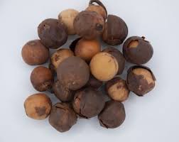 Image result for Afrostyrax kamerunensis