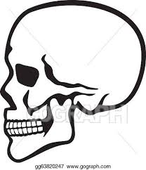 Vector Illustration Human Skull Profile Eps Clipart Gg63820247 Gograph I took forensics in school, we used those exact same skulls. https www gograph com clipart license summary gg63820247