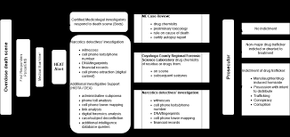 Cuyahoga County, Ohio, Heroin and Crime Initiative: Informing the  Investigation and Prosecution of Heroin-Related Overdose: Fina