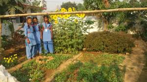Interesting tour around the spice garden which is quite quick then you are sat down at a table given a cup of tea and shown all the products that were or sale in their shop. School Herbal Garden April 2017 Youtube
