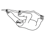 Check spelling or type a new query. How To Draw A Sloth Face