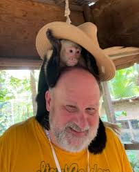 What are the best excursions for a family with a 4-year-old?