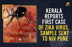 Whether you're taking the biggest exam of your life or you know your teacher or professor is going to give a pop quiz soon, efficient studying is a gr. Kerala Reports First Case Of Zika Virus Sample Sent To Niv Pune