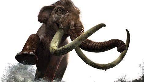 Tusk! – Texas Monthly
