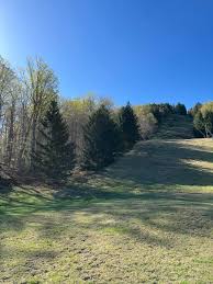 Important notes from McCauley...