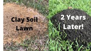 Check spelling or type a new query. Improve Your Clay Soil Lawn Crazy Proof From Fire Ants Youtube