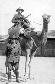 The texas camel corps keeps baum fairly busy. New Zealand Camel Corps And Imperial Camel Corps Planetfigure Miniatures