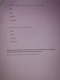 9, 10, 11, 12 age: Solved Transcription And Translation Practice Worksheet E Chegg Com