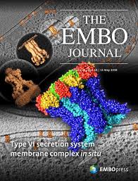 Stream tracks and playlists from miguel esteban on your desktop or mobile device. Yy1 Regulates Skeletal Muscle Regeneration Through Controlling Metabolic Reprogramming Of Satellite Cells The Embo Journal