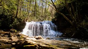 In a time when every side seems convinced it has the answers, the atlantic and hbo are p. How Well Do You Know Your Wv State Parks West Virginia State Parks West Virginia State Parks