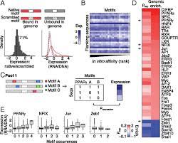 Systematic Dissection Of Genomic Features Determining Transcription Factor Binding And Enhancer Function Pnas