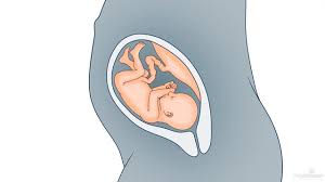 Pregnancy Related Problems Northshore