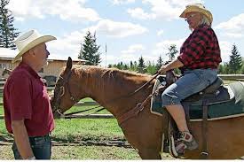 Bauer sucht frau 2020, kandidaten: Bauer Sucht Frau 2018 Knutschen Auf Dem Bauernhof