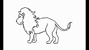 Check spelling or type a new query. How To Draw African Lion Full Body Pencil Drawing Step By Step Youtube