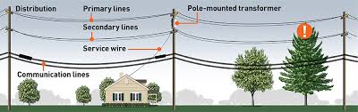 This article is more than 10 years old. Safety Near Power Lines