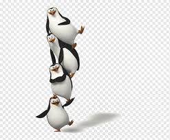 Madagascar movie reviews & metacritic score: Penguin Madagascar Film Animation Madagascar Penguins White Heroes Computer Wallpaper Png Pngwing