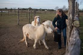 Woman slaughtering goat/educational of slaughtering подробнее. Deep In The Muslim Heart Of Texas A Farm Family Provides Halal Meat The New York Times