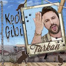Tarkan Kedi Gibi Disk 10 Kedi Sarkilar