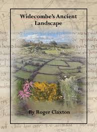 Widecombe's Ancient Landscape