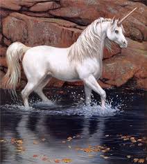 Real pegasus horse with wings. 45 I Ê…áƒ¦É£Ò½ Unicorns Ideas Unicorns And Mermaids Unicorn Rainbow Unicorn