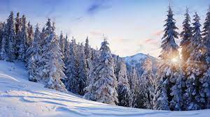 Winter In Mountains Winter Landscape Winter Mountain Winter Trees