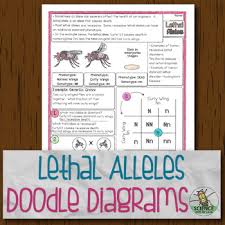 Lethal Allele Genetics Biology Doodle Diagram Notes