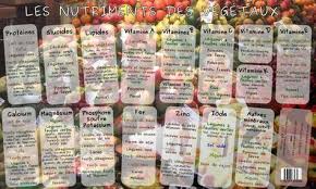 Pense Bete Pour Vegeta Ien En Herbe Planet Addict Vitamines Regime Vegetalien Fruits Et Legumes