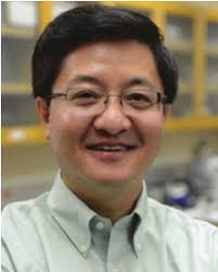 Chemical composition of bio-oil from wood biomass and the most abundant... 