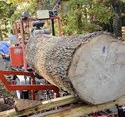 Massive Tree to Quarter Sawn Wood Using a Portable Bandsaw Mill