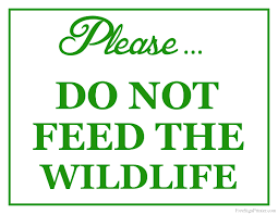 The prohibition do not feed the animals reflects a policy forbidding the artificial feeding of wild or feral animals. Printable Do Not Feed The Wildlife Sign