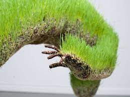 Human Plant Sculptures Update Sculptures Growing Grass Organic Sculpture