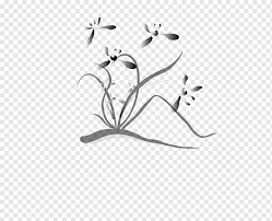 Ver más ideas sobre mariquitas vaquita de san antonio dibujos. Flor Blanco Y Negro Orquideas Polinizador Dibujos Animados Software Color Blanco Y Negro Rama Dibujos Animados En Blanco Y Negro Rama Png Pngwing