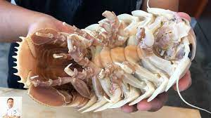 GRAPHIC: Real Live Isopod Hour | Cut, Clean, Cook - YouTube