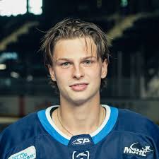 Brett Kaiser Stats and Player Profile