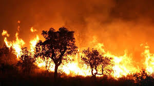 ), ainsi qu'avec toute aire qui pourrait constituer une source d'incendie potentielle ou encore présenter des risques potentiels ou inattendus en cours de lutte contre l'incendie. Incendies