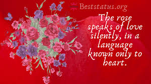 Share with your friends, family and all your loved ones. Rose Day Images For Best Friend World Rose Day 2020 Status