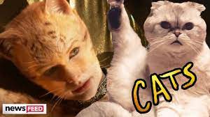 First Look At Taylor Swift In Cats Movie Trailer Cat Movie Cats Movie Trailers