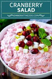 Maybe you would like to learn more about one of these? Cranberry Salad Dinner At The Zoo