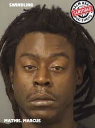 MATHIS, MARCUS & MCGRIFF, TRAVIS Arresting Agency: 01-PBSO Charges 812.014  2F (MF)LARC