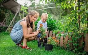 On the ground, on plants and in the air. In Today S Sundaymirror My Gardening Column Is Full Of Fun Ideas That You Do Either Indoors Our Outside Just Give Them A Go Ga Flower Garden Garden Flowers