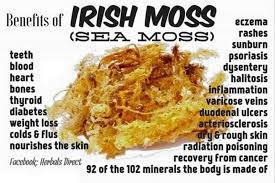 Premium Gold Wildcrafted Sea Moss 1oz Healing Food Dr Sebi Recipes Sea Moss