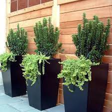 Large planters for indoor use drip trays available. Large Tapered Square Planter Fiberglass 42 48 60 Tall Toulan By Jay Scotts Tall Outdoor Planters Potted Plants Outdoor Outdoor Planters