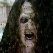 Legendary Australian Stuntman Grant Page has died at age 85. Page will be  known for his incredible contribution to movies like Mad Max, Patrick, Road  Games and Stunt Rock. @realeliroth introduced me