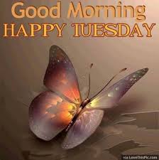 We did not find results for: 10 Tuesday Morning Quotes To Brighten Your Day In 2021 Good Morning Tuesday Happy Tuesday Quotes Happy Tuesday Pics