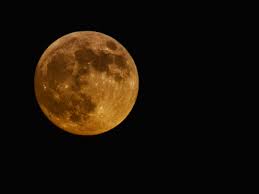 Water & cardinal celebrities with moon in cancer: Today S Hunter Moon Will Be Best For These Three Zodiac Signs The Times Of India