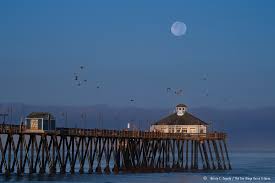 Nelvin Cepeda (@NelCepeda)